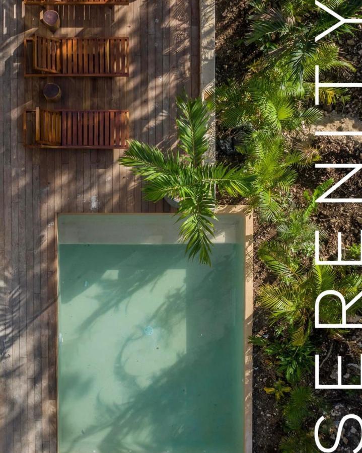 Villa Xuncari En El Corazon De La Selva トゥルム エクステリア 写真